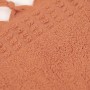 Fringed Towel 550g